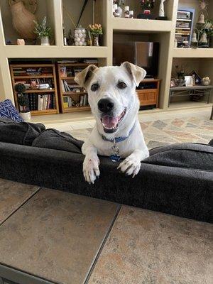 photo of Elizabeth S.