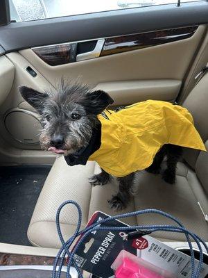 photo of Kristina C.