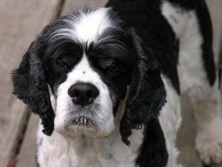 Photo of Jaime C.