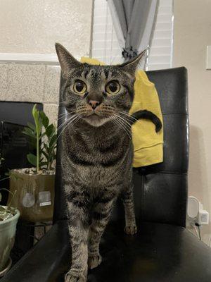 Photo of Coolgamerz222