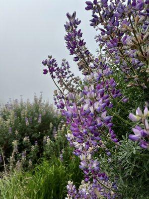 photo of Christina T.