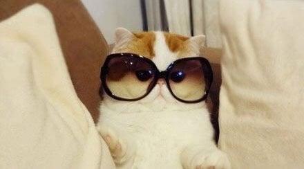 photo of Christine K.