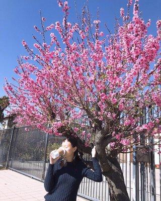 photo of Gabriella A.