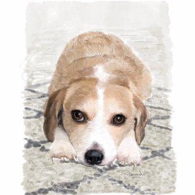 photo of Cristian P.