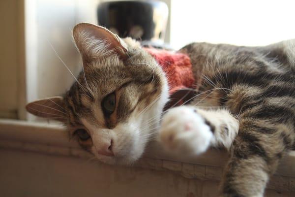 Photo of Kika K.