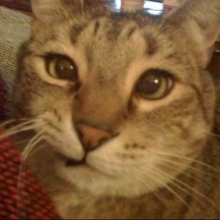 Photo of Terri S.