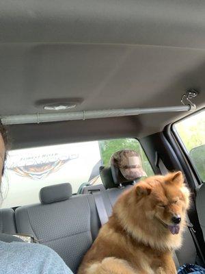 photo of Jennifer P.