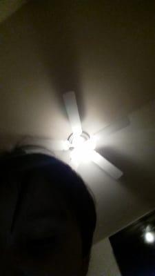 Photo of Daniela E.