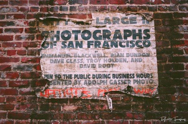 Photo of Michelle N.