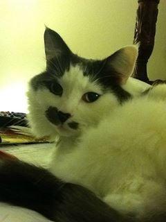 photo of Christina P.