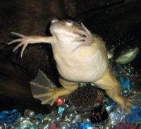 photo of Stevie Ray F.