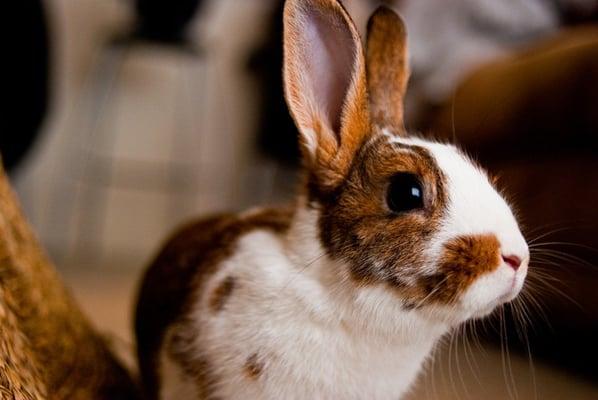 photo of Jessica D. S.