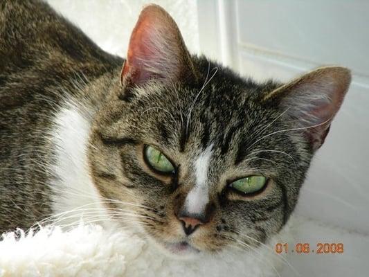 Photo of Vicki M.