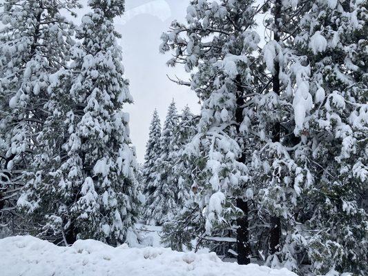 photo of The Weekly N.