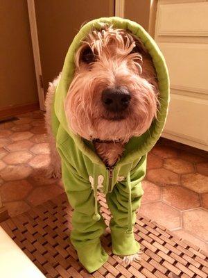 photo of Drakewood S.