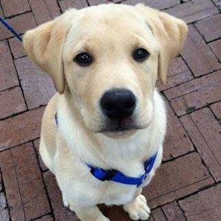 photo of Catherine K.