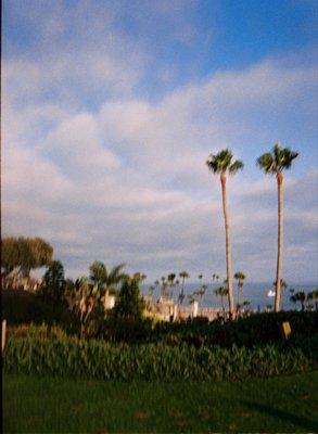 Photo of B S.
