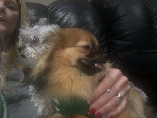 photo of Rose Ann S.