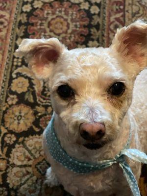 photo of LittleNeck R.