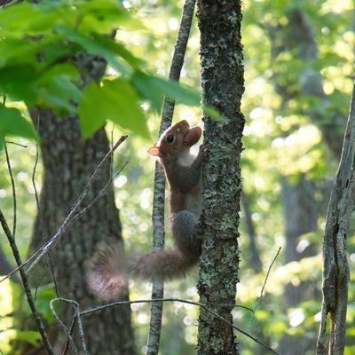 photo of Benjamin H.