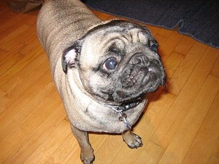 photo of Christian R.