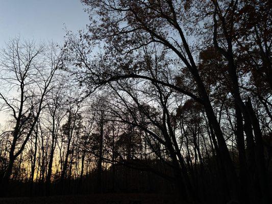 photo of Consumer R.