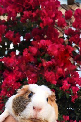 photo of Jacqueline L.