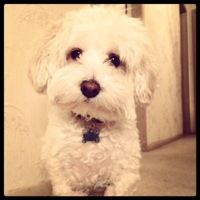 photo of Danielle M.