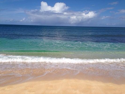 photo of Kristina K.