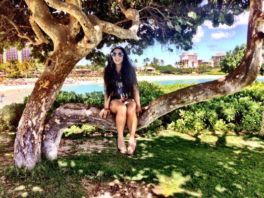 Photo of Tiana D.