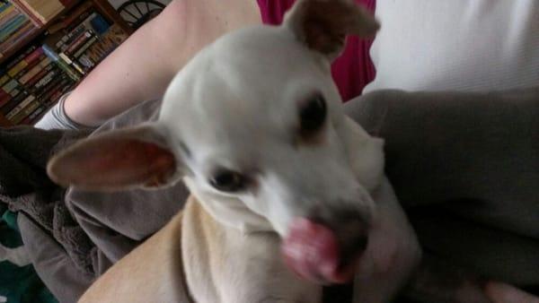 photo of Ft. Worth Jim D.