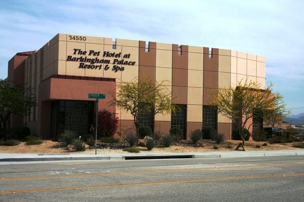 photo of Barkingham P.