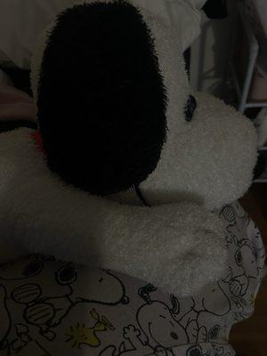 photo of Jennifer S.