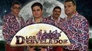 Photo of Los D.