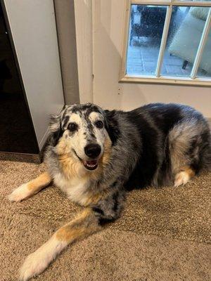 photo of danielle m.