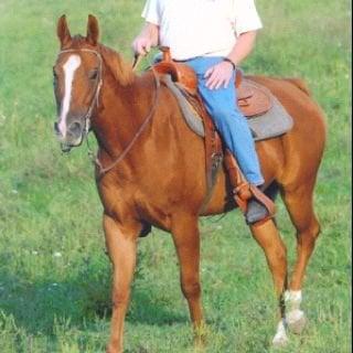 Photo of Jay E.