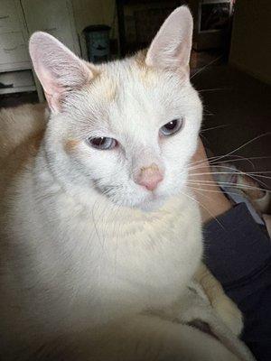 photo of Marcy T.