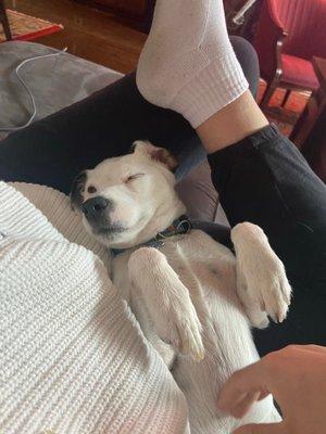 Photo of Samantha C.