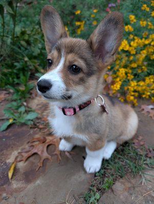 photo of Courtney G.