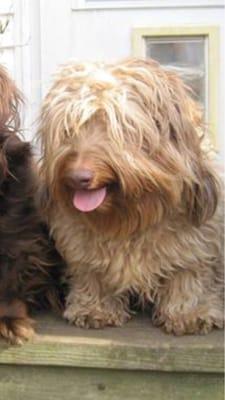 photo of Erronious M.