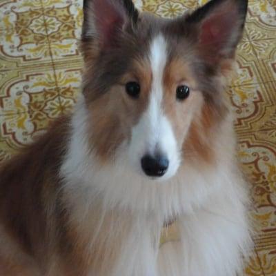 Photo of Sandy S.