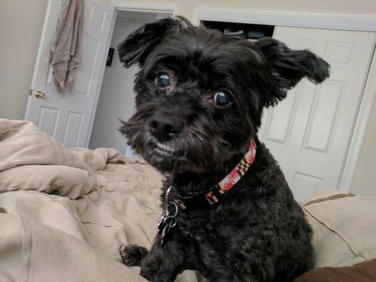 photo of Meredith H.