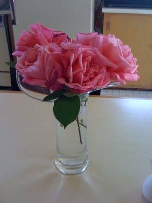 Photo of K s.