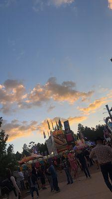 photo of Alejandra D.