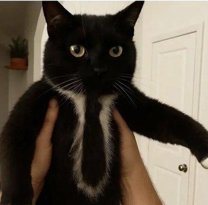 photo of Younkyung K.