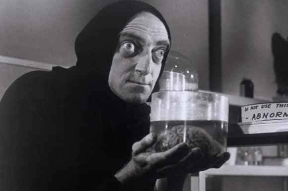 photo of Abbynormal I.