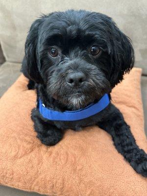 Photo of Marrianne B.