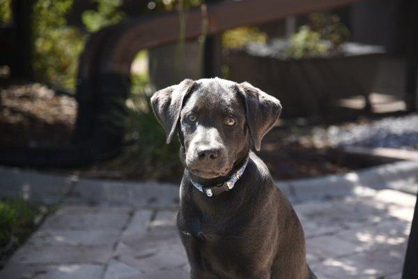 photo of Christine B.