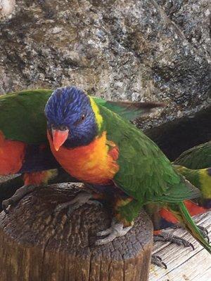 photo of Richelle H.