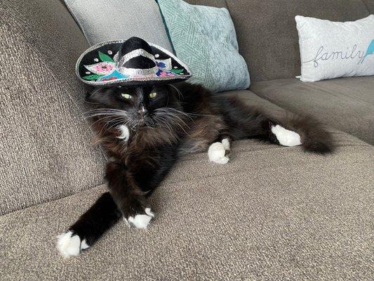 photo of Charisma O.